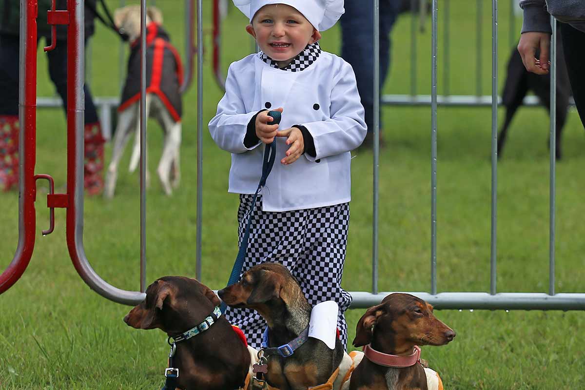Usk Show Dogs 2026